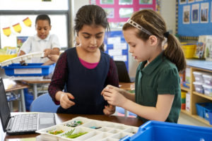 Lego Education WeDo 2.0